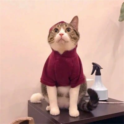 Nguyễn Công Phượng avatar